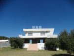 Belle villa avec piscine à vendre zone el basbasiya hammamet
