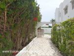 Villas du palmier av i hammamet i zone théâtre