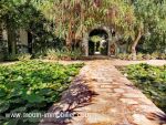 Villa lotus a hammamet zone agricole