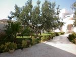 Av villa avec joli jardin à hammamet nord