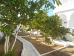 Trés belle villa à vendre à hammamet nord