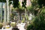 Av une belle villa avec magnifique jardin à hammamet
