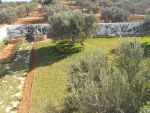 Av villa avec vue nature trés agriable à hammamet