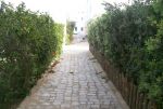 Villa possède un grand jardin à hammamet