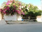 Villa bougainvilliers vv: 227 +